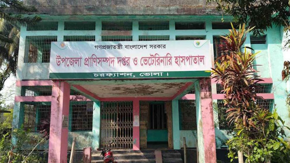 ১৫ দিনের ছুটি নিয়ে ২২ দিন পর কর্মস্থলে প্রাণিসম্পদ কর্মকর্তা