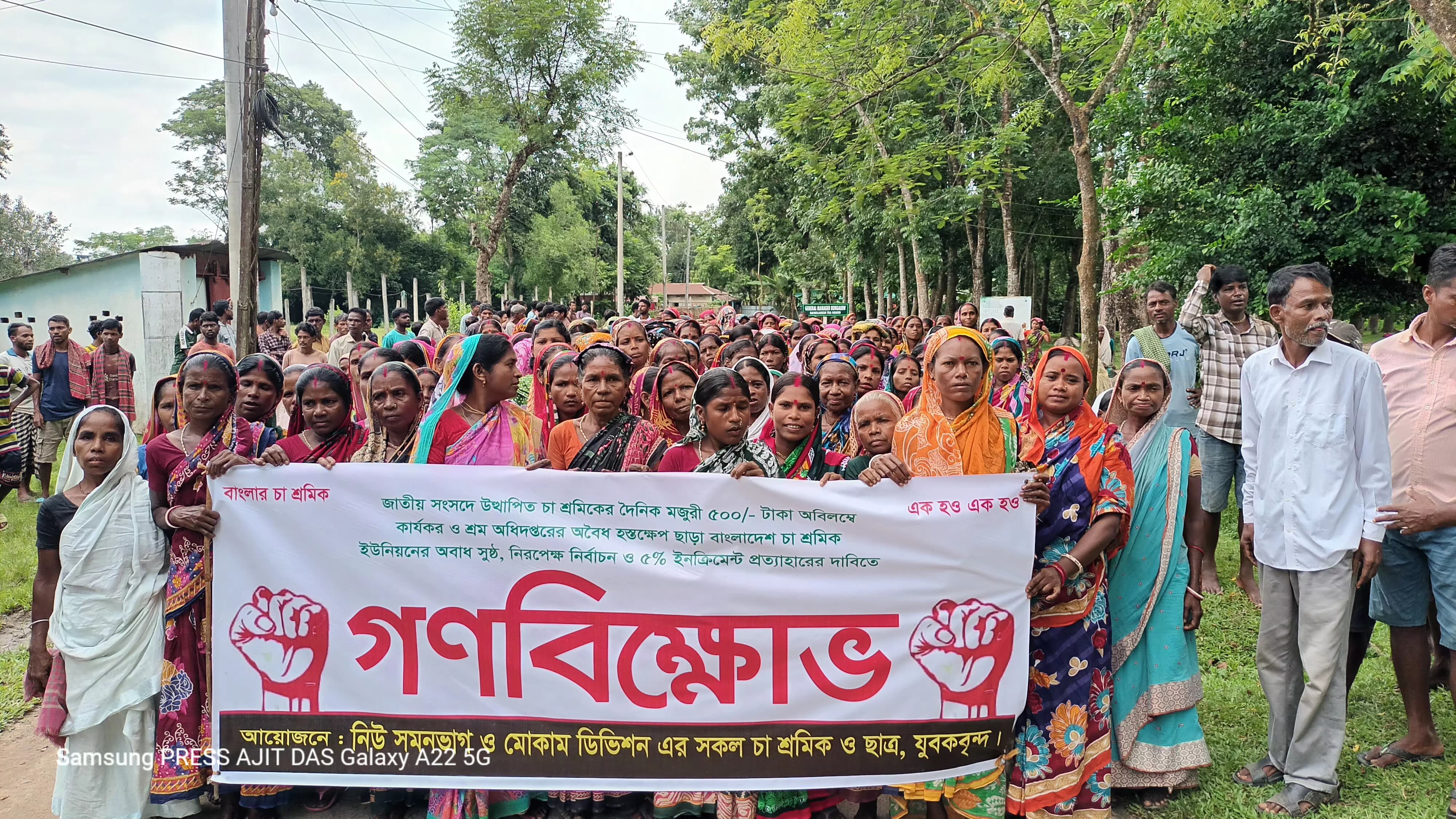 ‘৫০০ টাকা মজুরি দিতে হবে’: চা শ্রমিকদের বিশাল বিক্ষোভ সমাবেশ