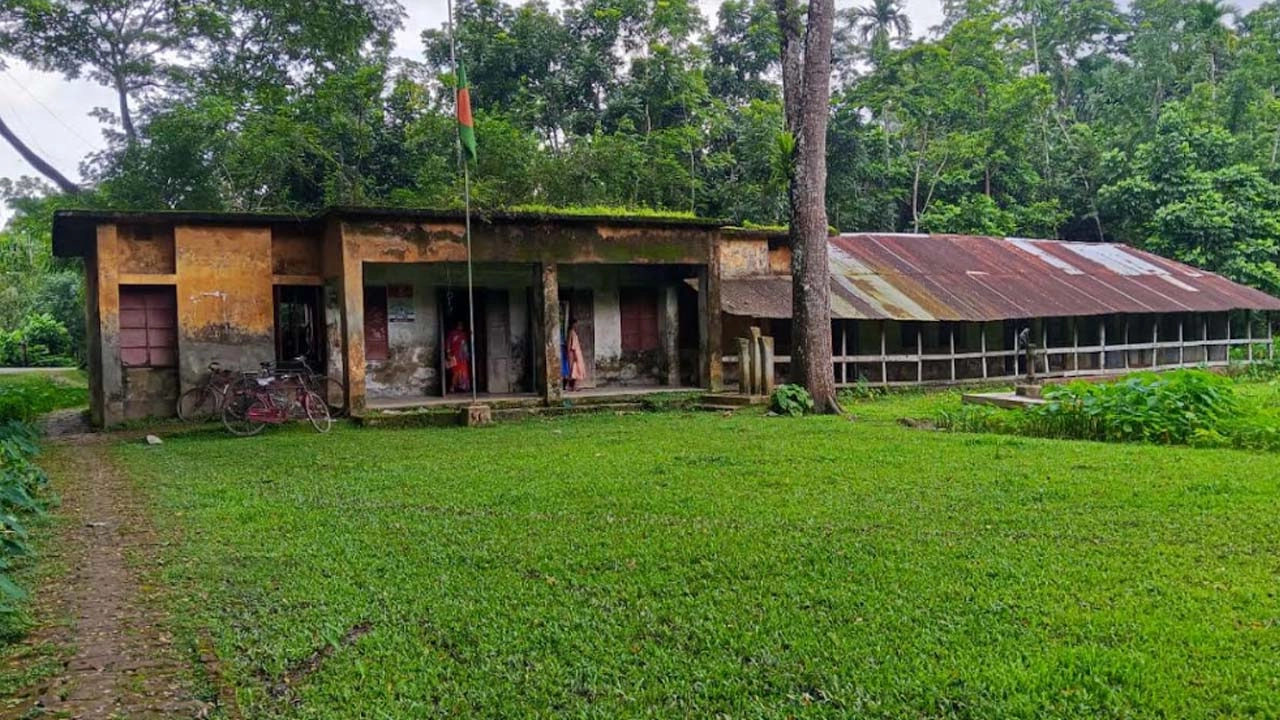 ১১ শিক্ষকের ১১ পরীক্ষার্থী, পাস করা একমাত্র শিক্ষার্থীর নামই জানেন না প্রধান শিক্ষক