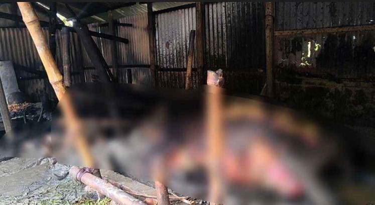 আগুনে পুড়ে ৮ গবাদিপশুর মৃত্যু, নিঃস্ব কৃষক