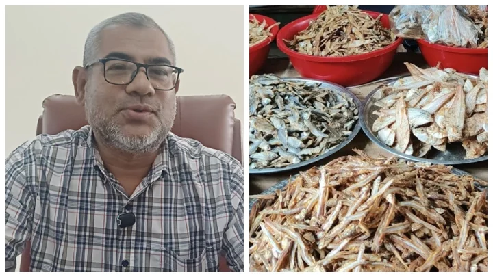 শুঁটকিতেও মিলল মাইক্রোপ্লাস্টিক, জনস্বাস্থ্য নিয়ে উদ্বেগ